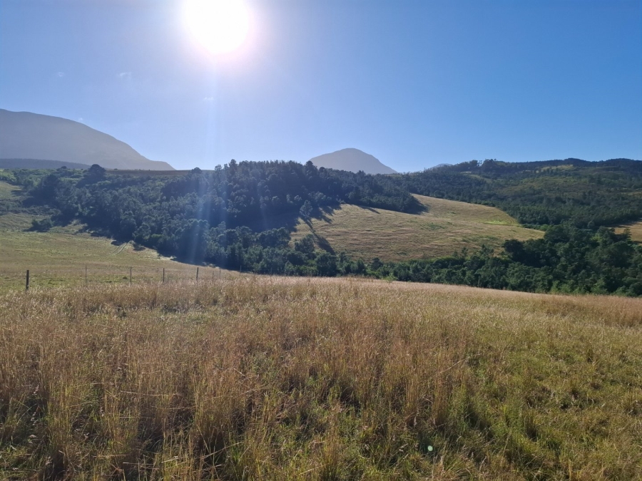 6 Bedroom Property for Sale in Riversdale Rural Western Cape